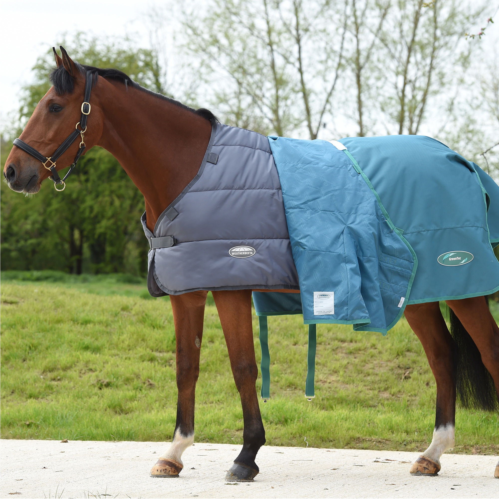 Weatherbeeta Grün - Tec Standard Hals Medium / Lite Stabil Liner 1021797 - Grey